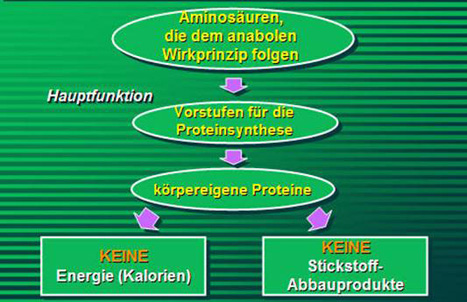 catabolic pathway